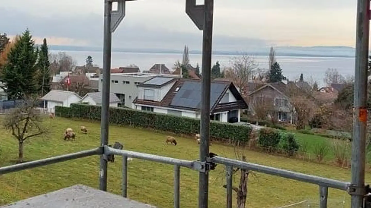 Wohnung kaufen - Romanshornerstrasse 21, 8592 Uttwil - Foto 3