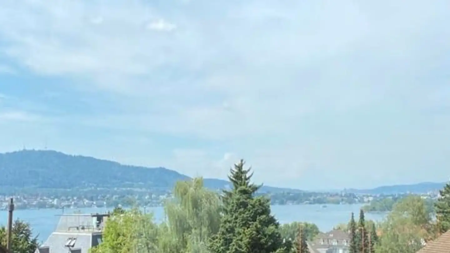 Appartamento in affitto - Alte Landstrasse, 8702 Zollikon