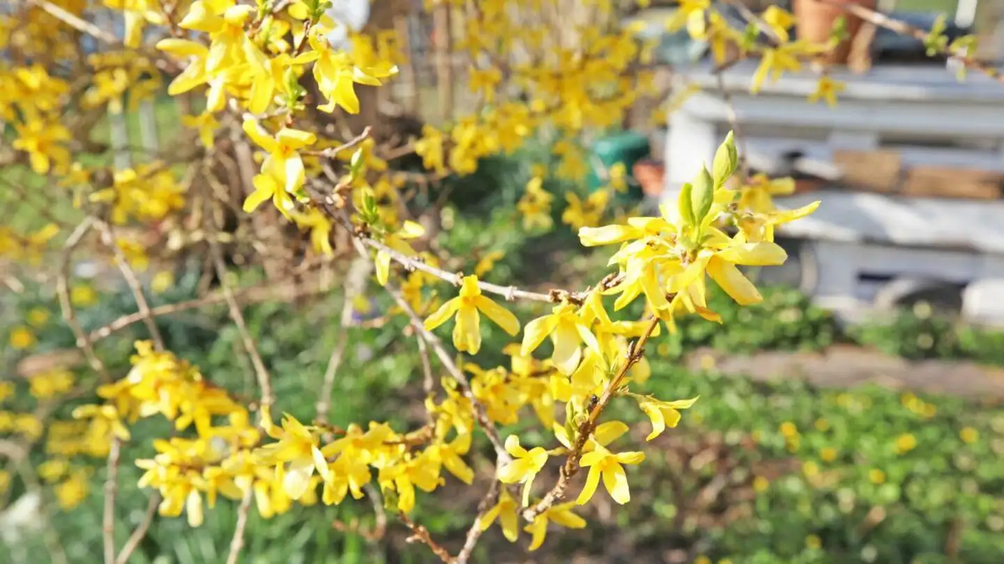 Single house for sale - Schulhausstrasse 22, 3114 Wichtrach - Photo 3