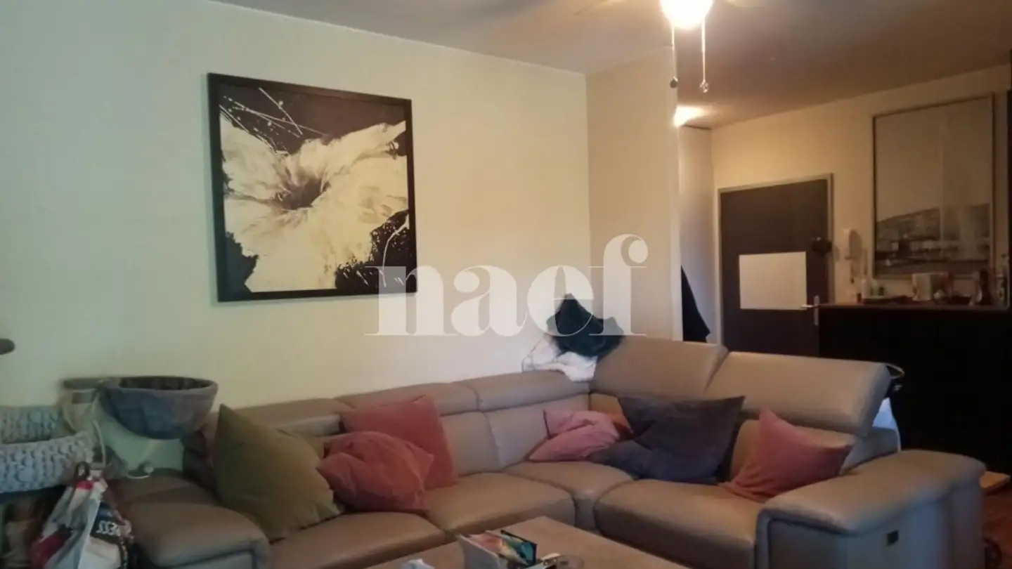 Appartement à louer - Chemin De La Milice 16, 1228 Plan-les-Ouates - Photo 4