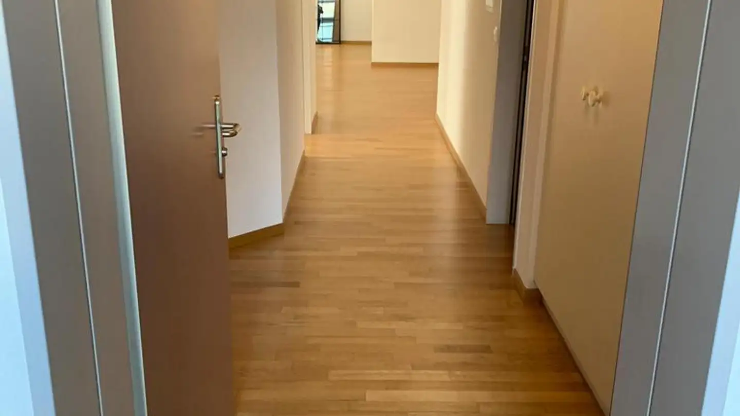 Appartamento in affitto - Schaffhauserstrasse 639, 8052 Zürich - Foto 2