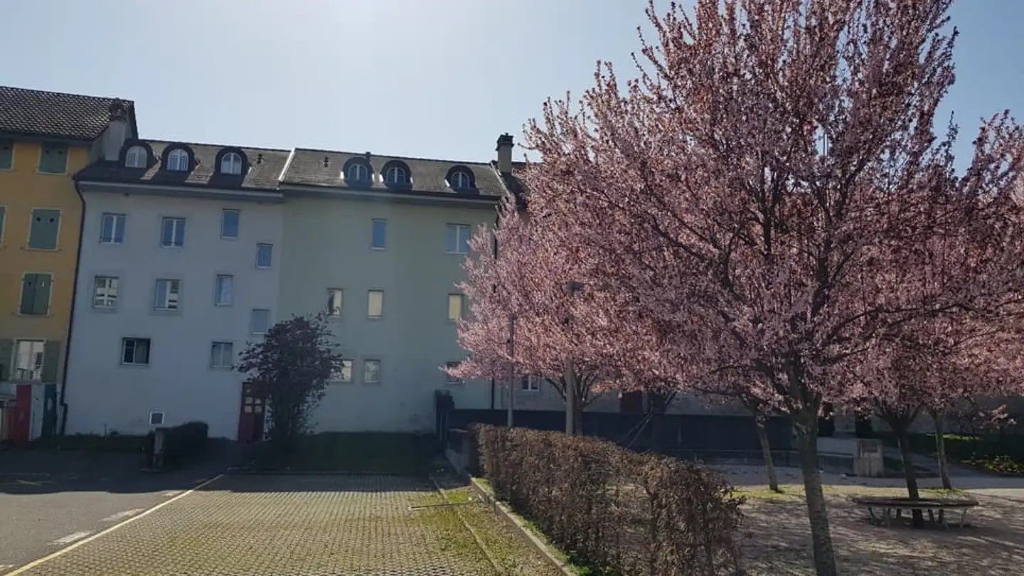 Wohnung mieten - Rue De La Tour 9, 1530 Payerne - Foto 3