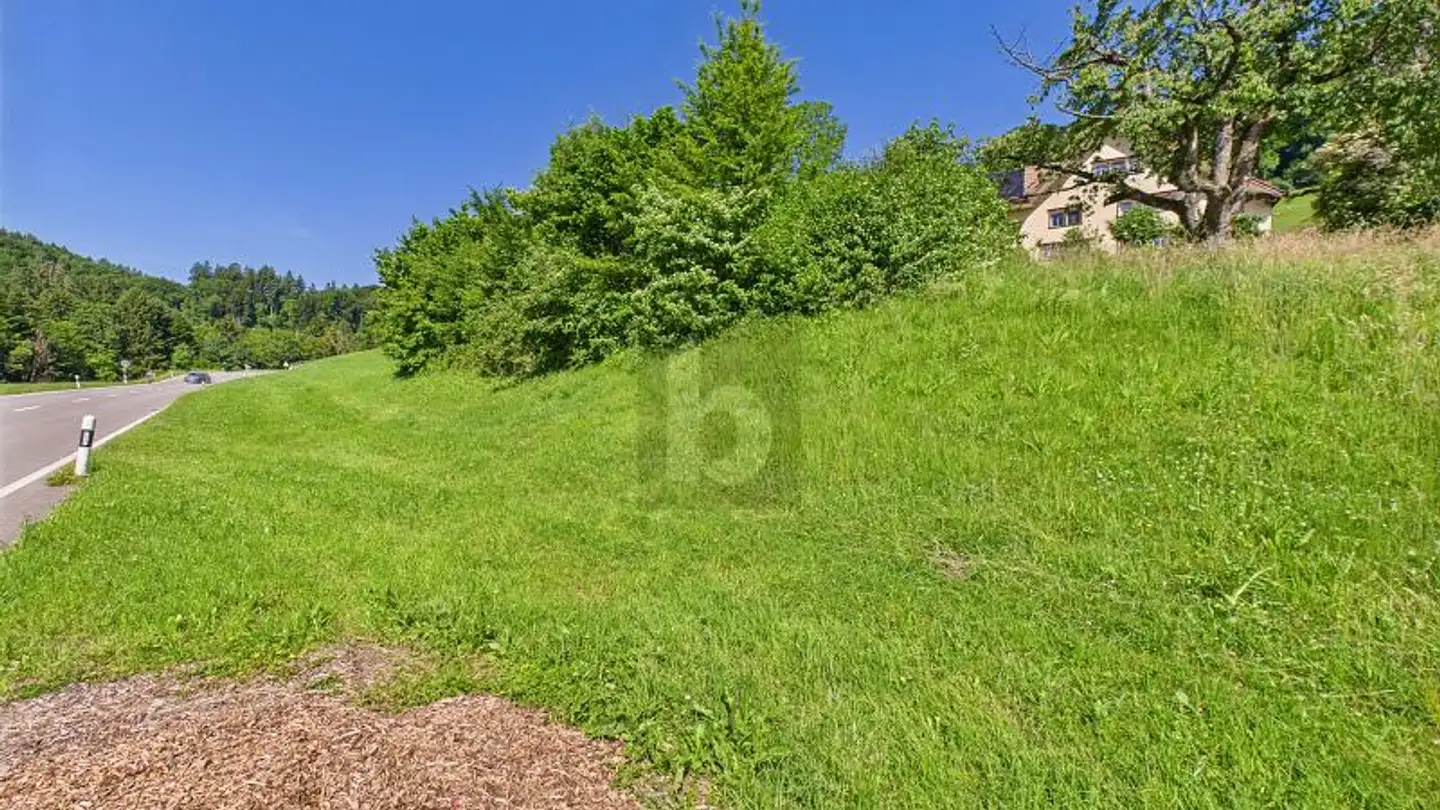 Constructible plot for sale - 9442 Berneck