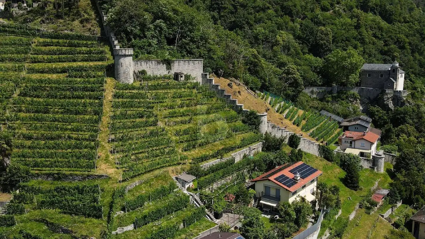 Fabrik mieten - 6514 Sementina - Foto 2