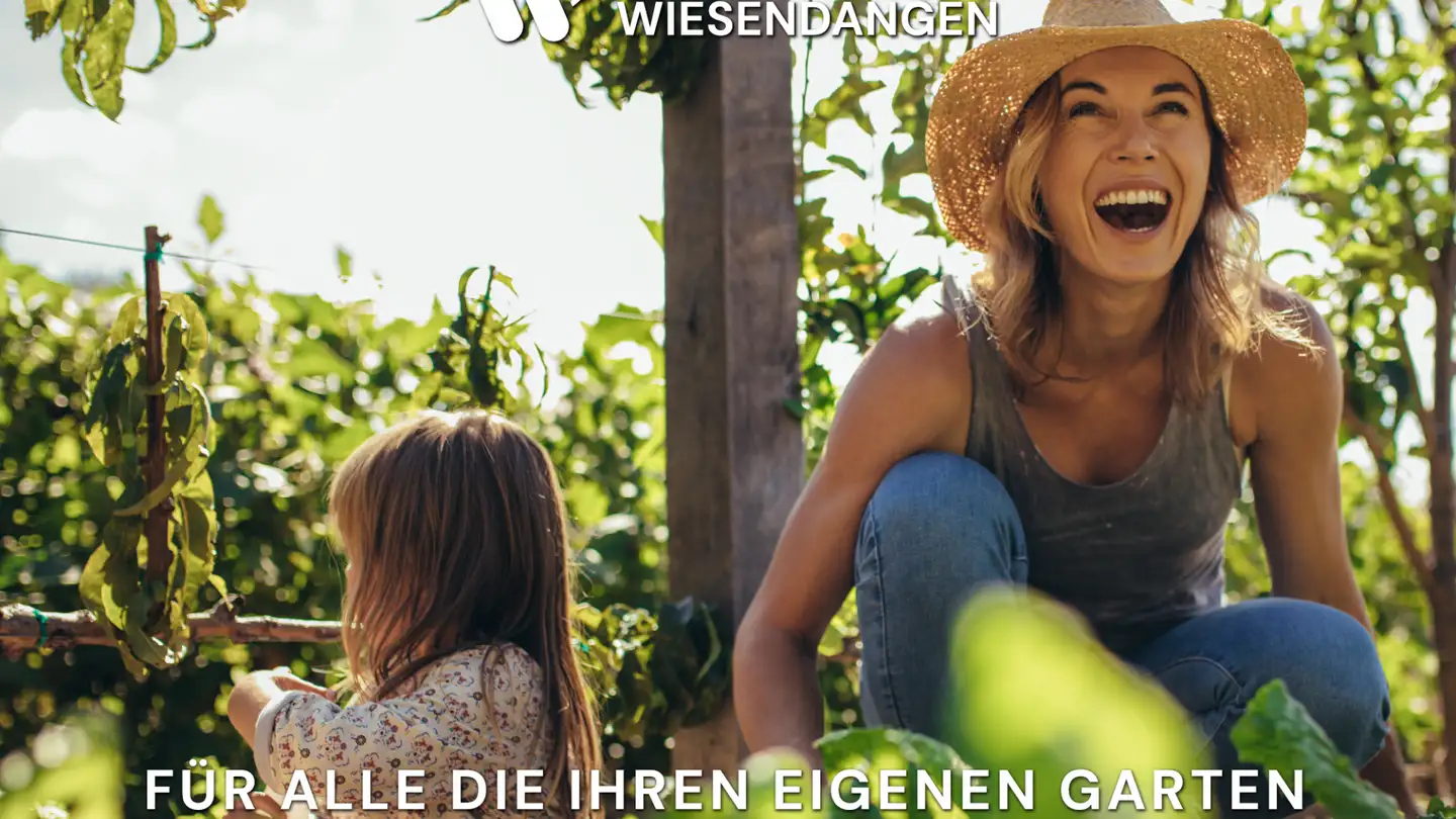 Reihenhaus kaufen - Kehlhofstrasse 47, 8542 Wiesendangen