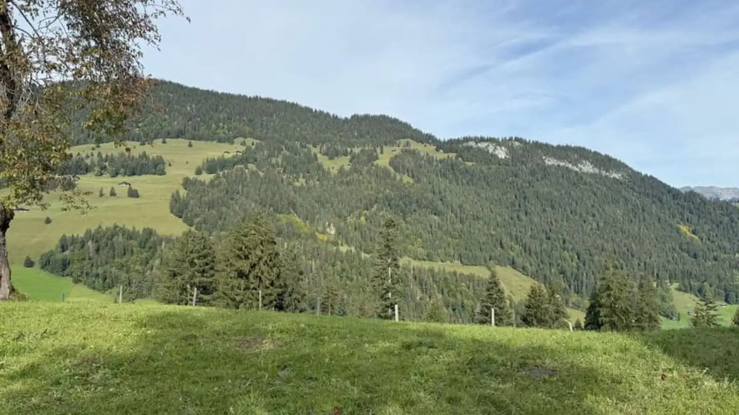 Terrain constructible à vendre - 3776 Oeschseite - Photo 2