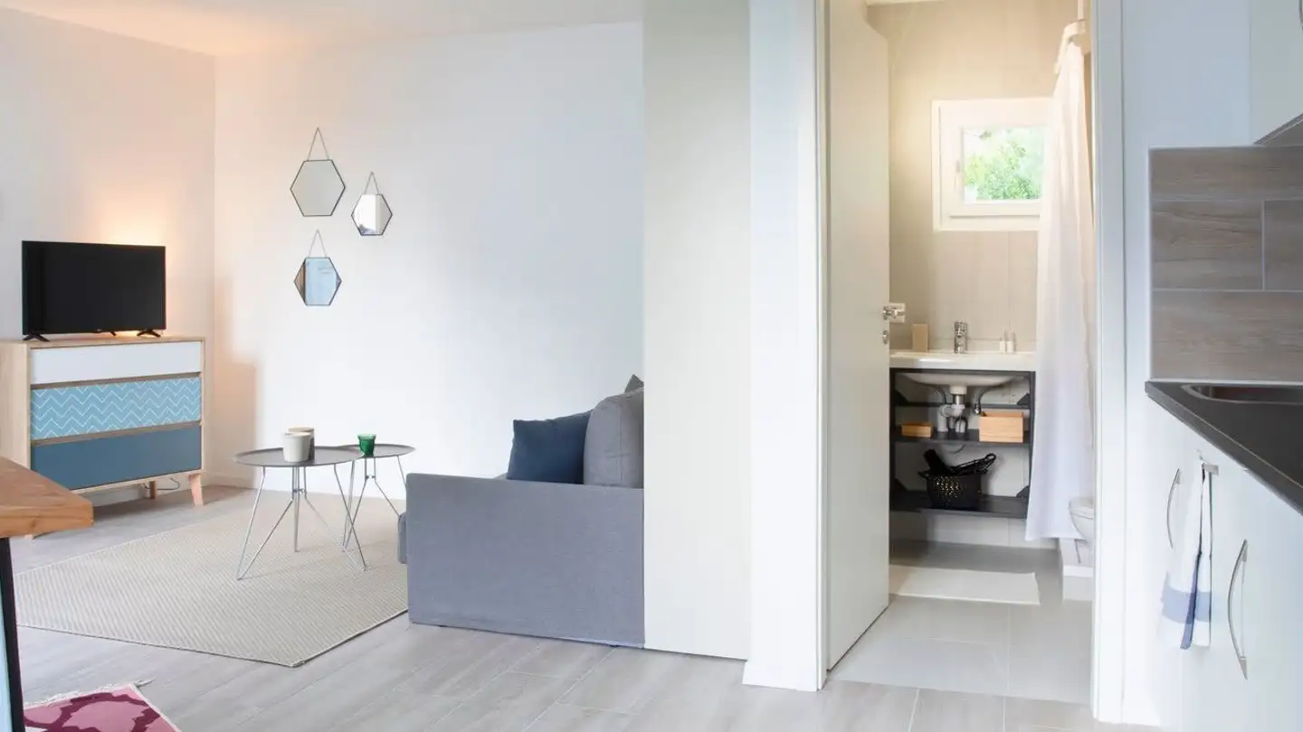 Appartamento in affitto - Avenue Du Léman 9, 1005 Lausanne