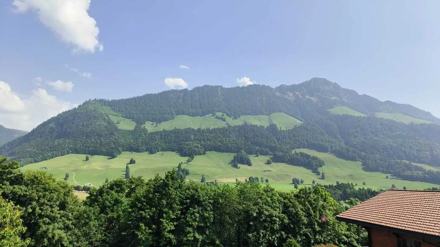 Terreno edificabile in vendita - Route De Biffé, 1653 Châtel-sur-Montsalvens - Photo 4