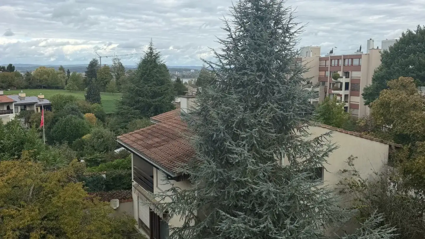 Maison en terrasse à louer - Waldheimstrasse 5e, 8280 Kreuzlingen - Photo 4