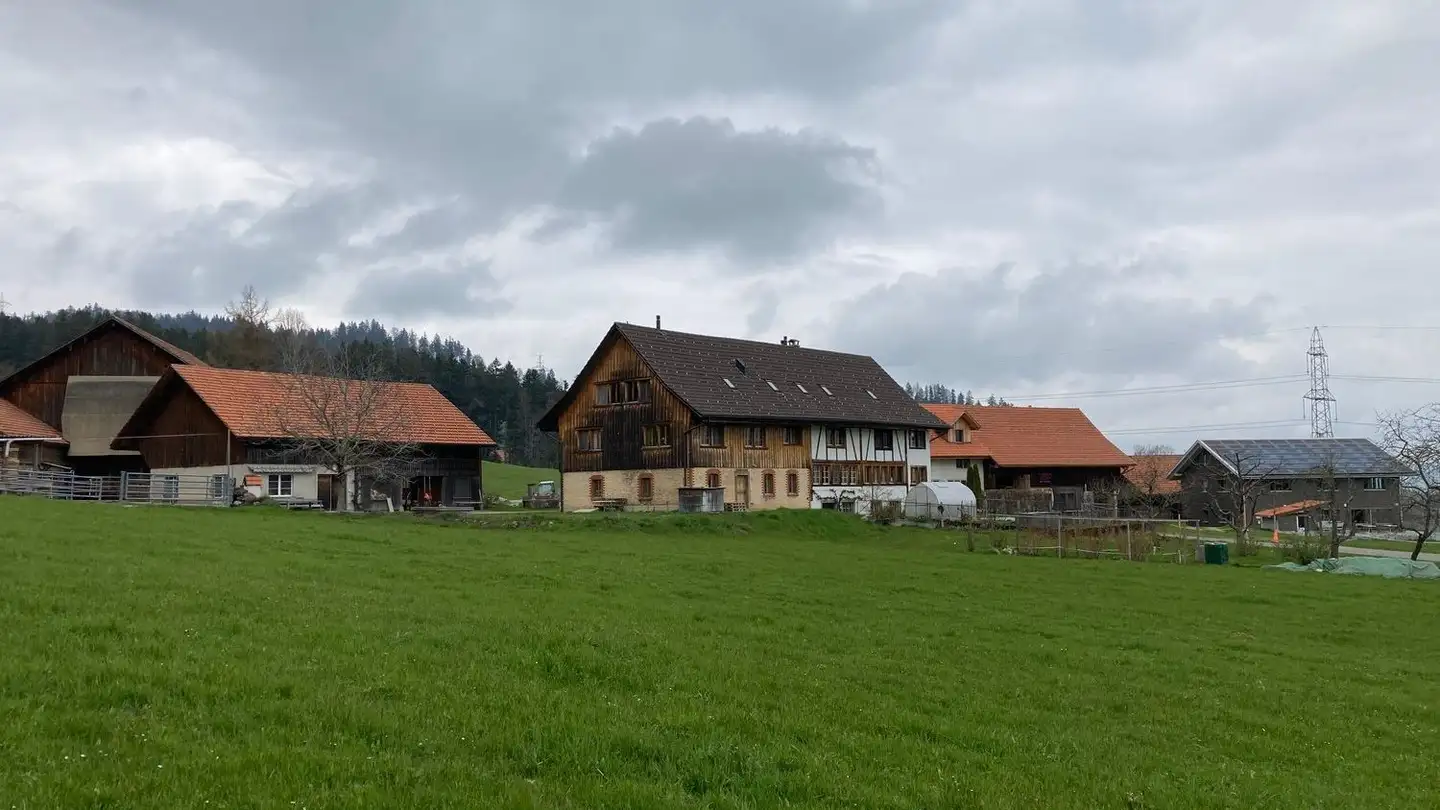 Appartement à louer - Amslen 7, 8636 Wald ZH