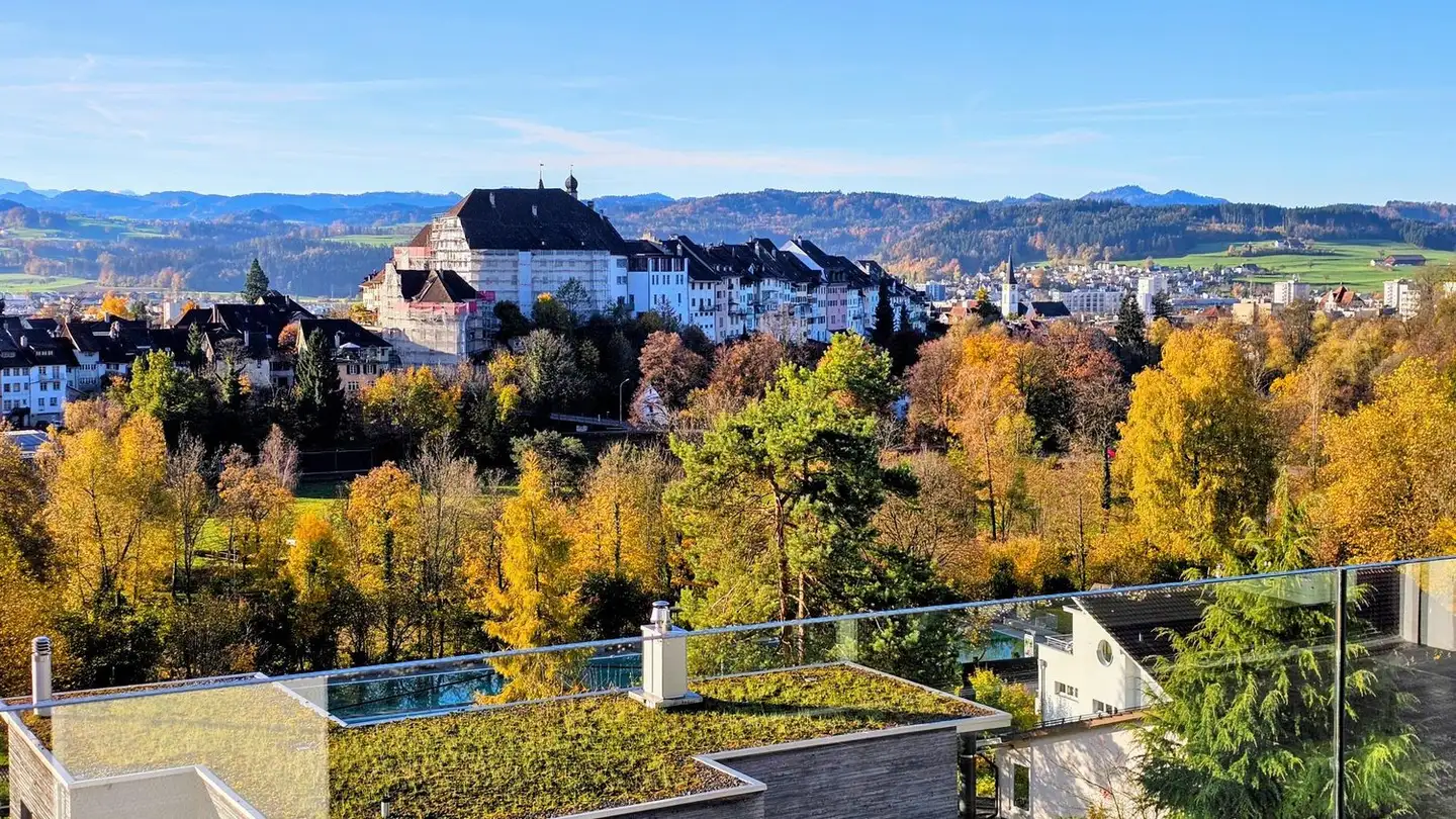 Appartement à louer - Weierhofstrasse 7a, 9500 Wil SG - Photo 4
