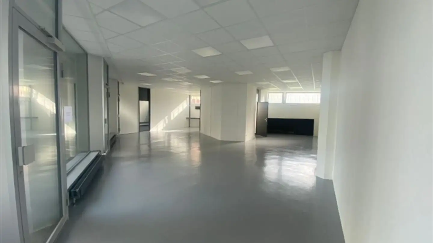 Appartement à louer - Rue Jean-Antoine-Gautier 11, 1201 Genève - Photo 3