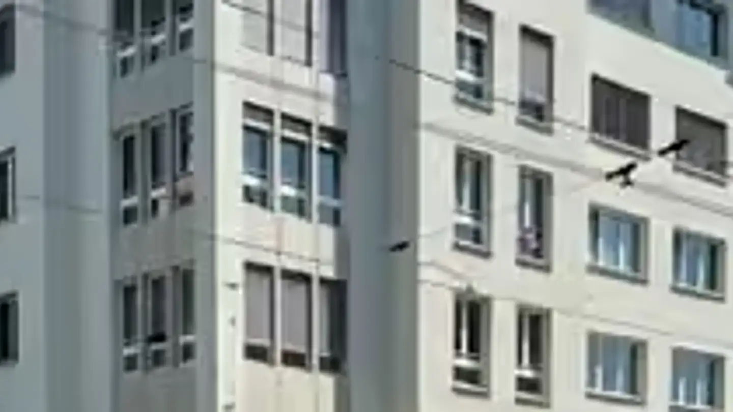 Magasin à louer - Röslistrasse 2, 8006 Zürich
