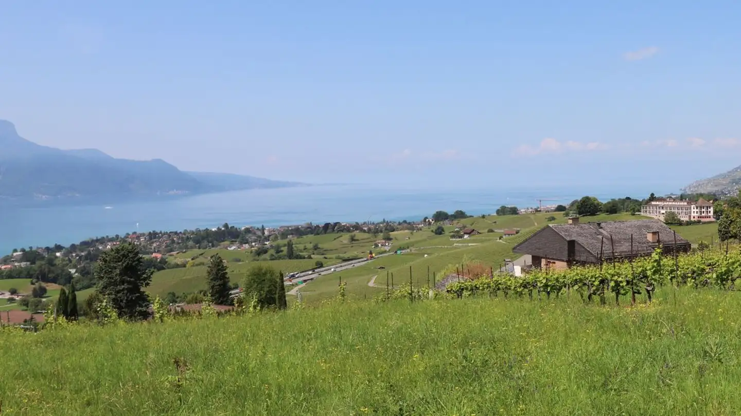 Terrain constructible à vendre - 1807 Blonay