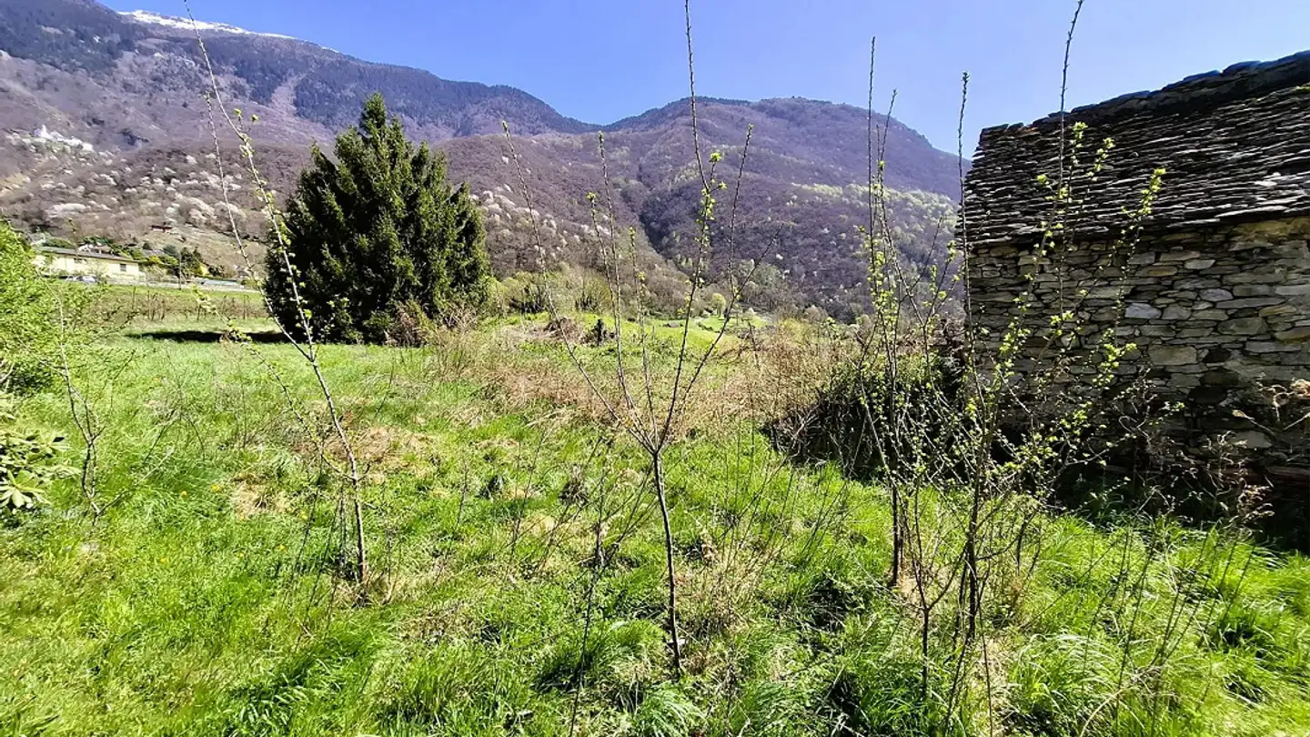 Terreno edificabile in vendita - 6500 Bellinzona - Foto 2