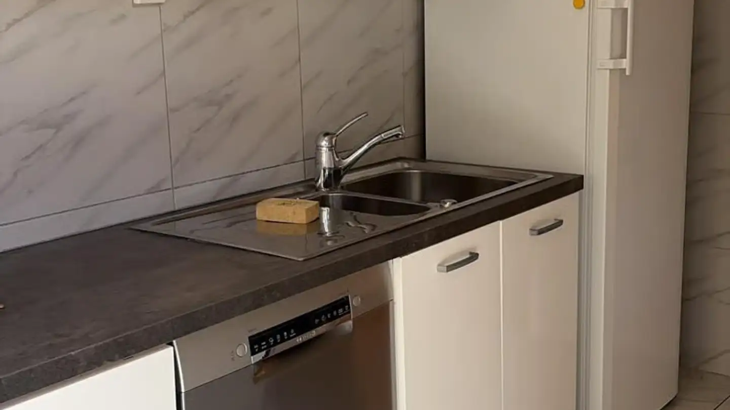 Appartamento in affitto - Chemin Du Grand-Pré 3, 1296 Coppet - Foto 2