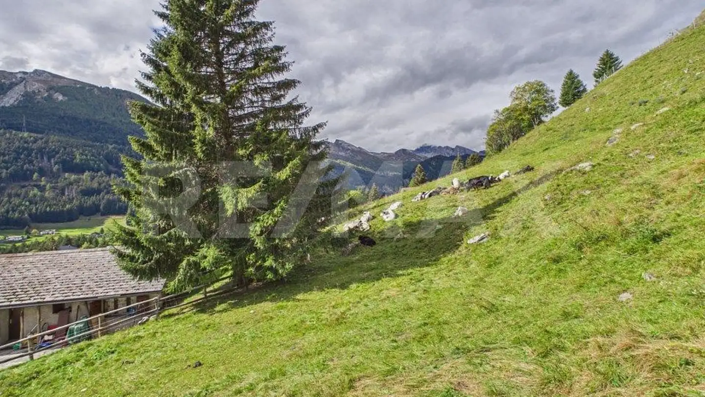Constructible plot for sale - Pian San Giacomo, 6563 Mesocco - Photo 2