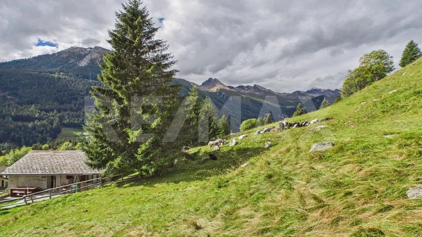Constructible plot for sale - Pian San Giacomo, 6563 Mesocco - Photo 3
