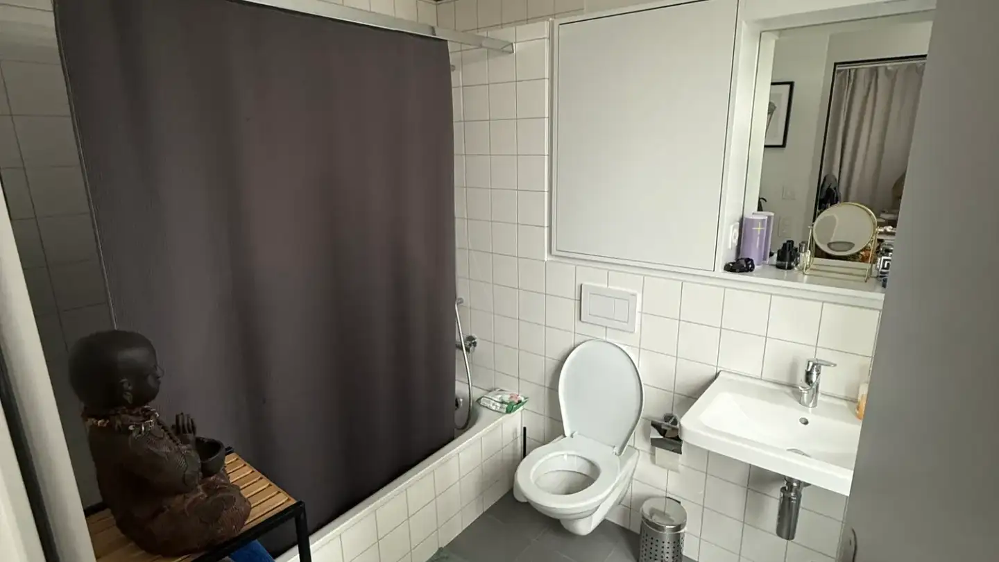 Chambre à louer - Hohlstrasse 440a, 8048 Zürich - Photo 3