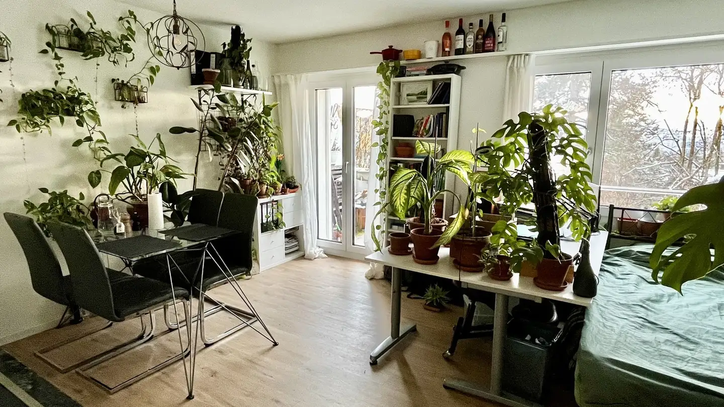 Appartement à louer - Gartenstrasse 36, 8102 Oberengstringen