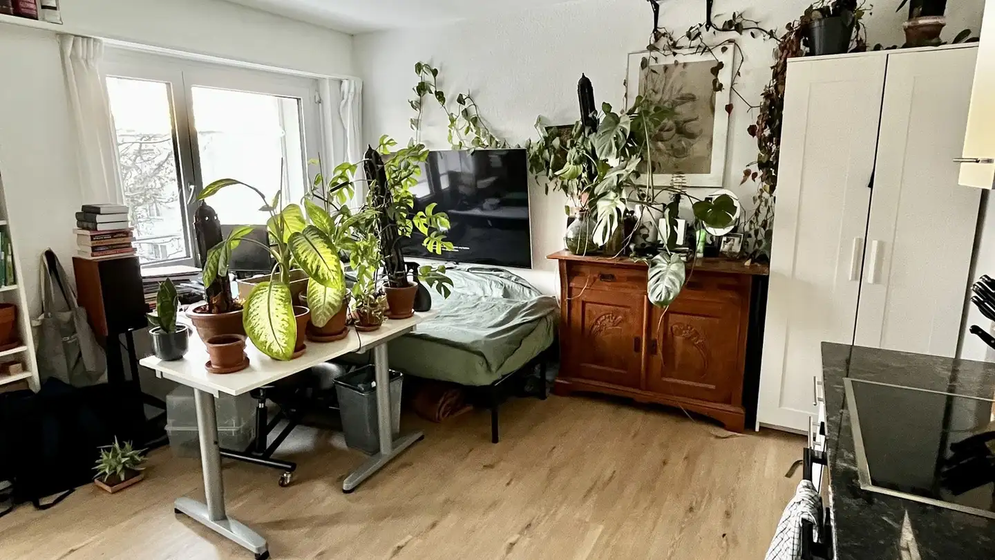 Appartement à louer - Gartenstrasse 36, 8102 Oberengstringen - Photo 2