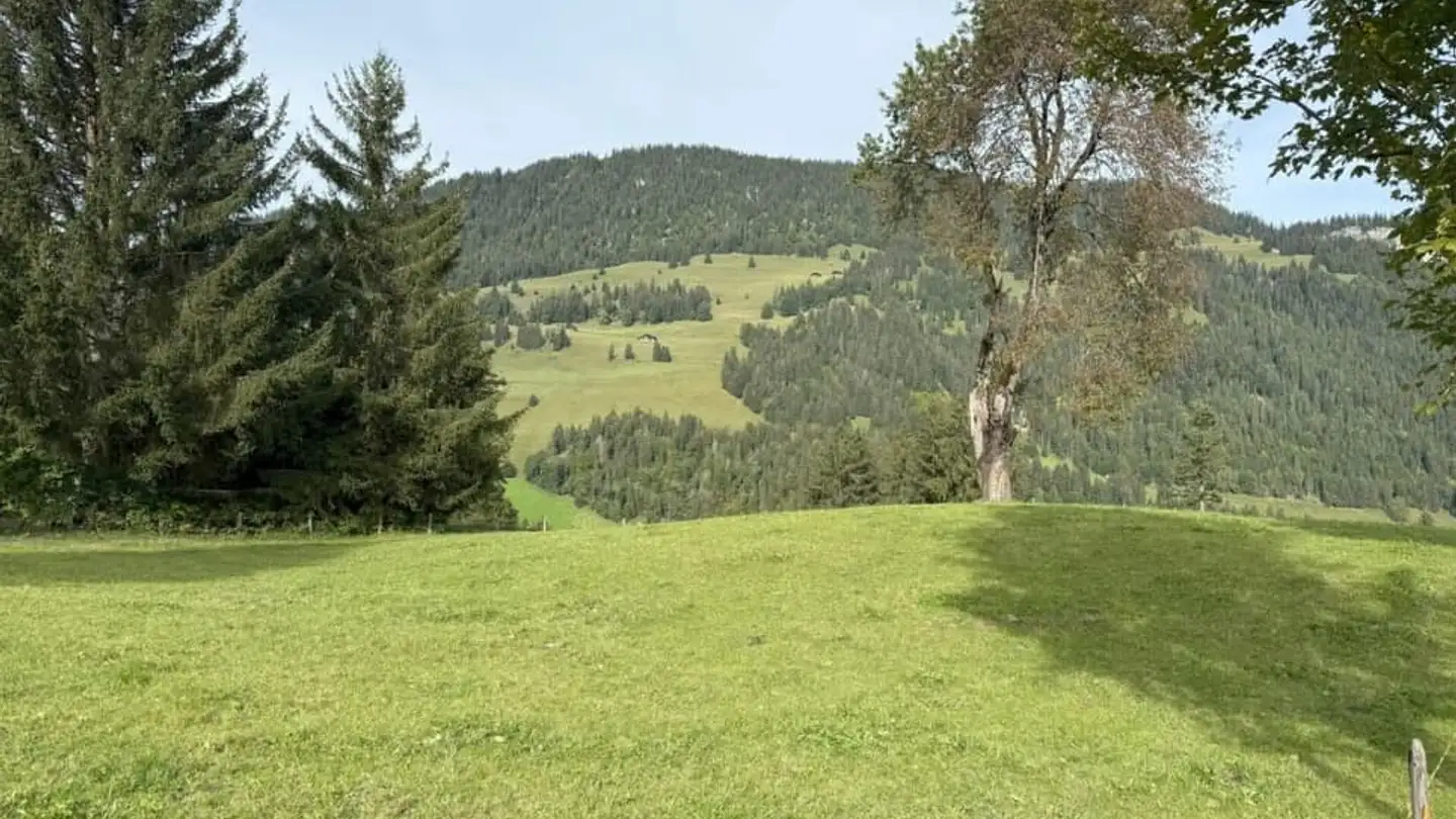 Terreno edificabile in vendita - 3776 Oeschseite
