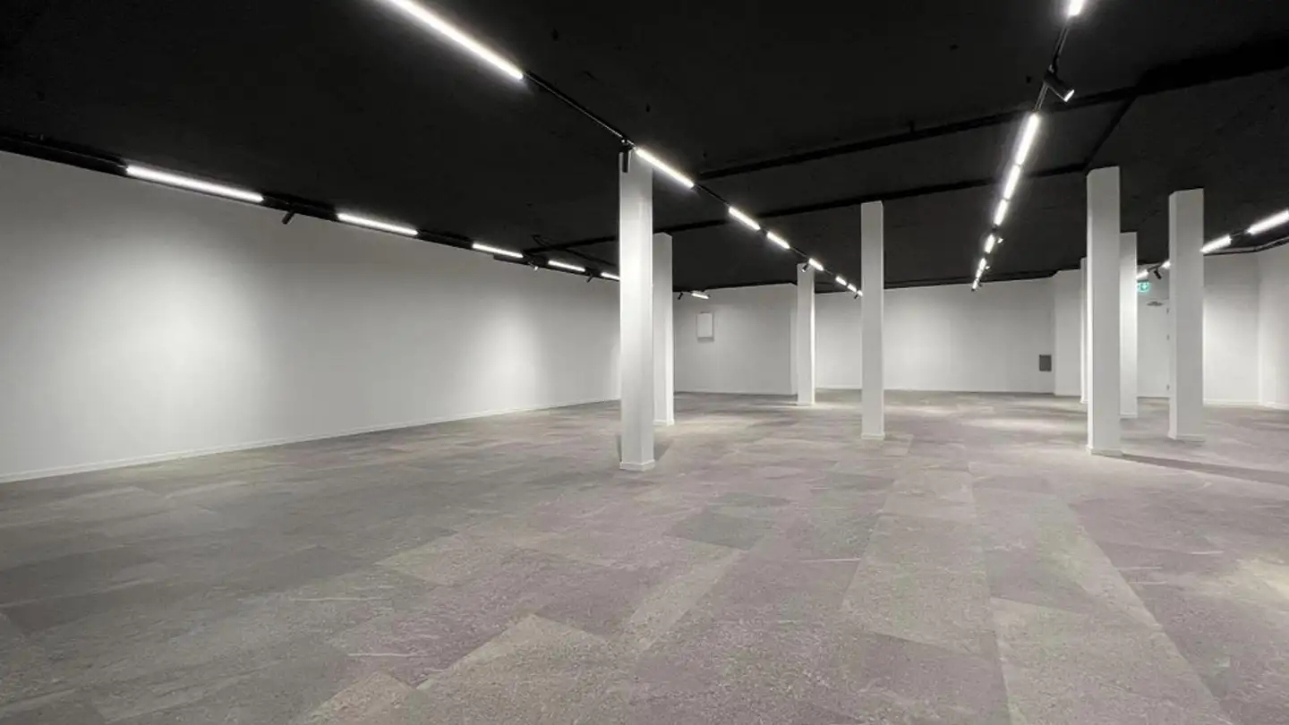 Bürofläche kaufen - Centralstrasse 14, 6215 Beromünster - Foto 3