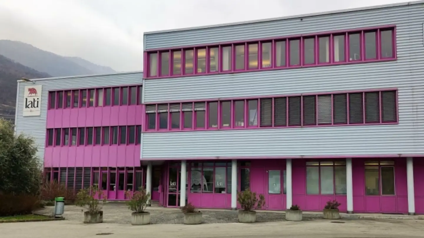 Château à vendre - Via Gorelle 7, 6592 S. Antonino