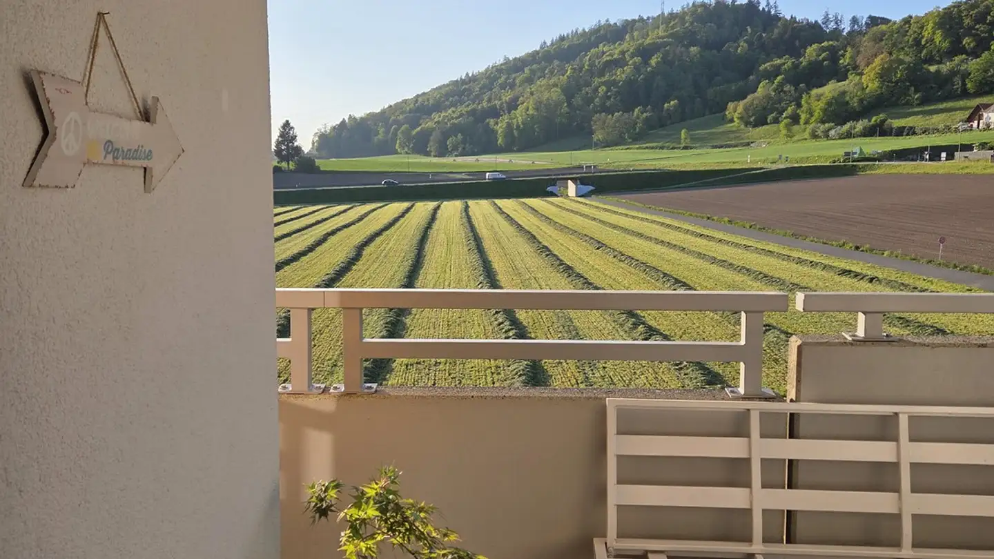 Appartamento in affitto - Bohnäckerstrasse 3, 8955 Oetwil an der Limmat - Foto 2
