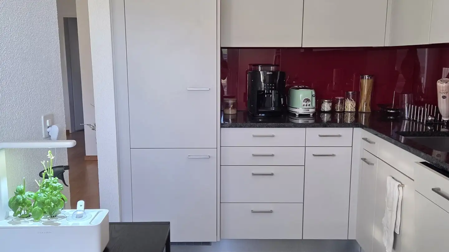 Appartamento in affitto - Bohnäckerstrasse 3, 8955 Oetwil an der Limmat - Foto 3
