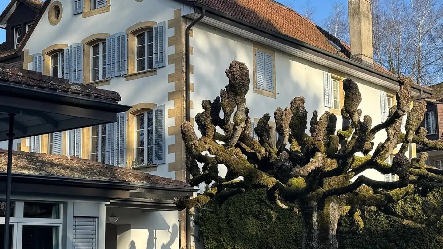 Wohnung mieten - Rue De Lausanne 10, 3280 Meyriez - Foto 2