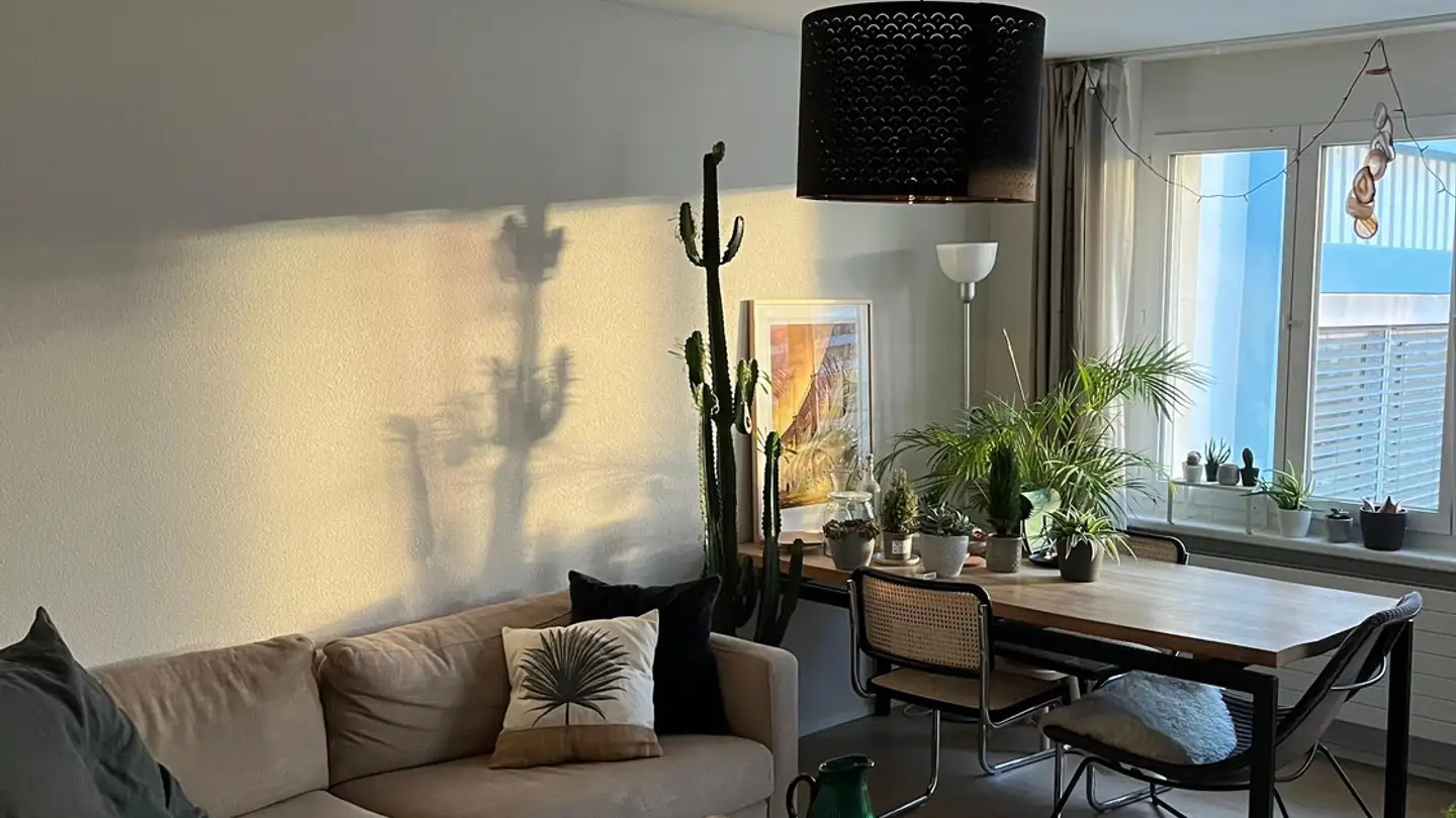 Appartamento in affitto - Bändlistrasse, 8064 Zürich