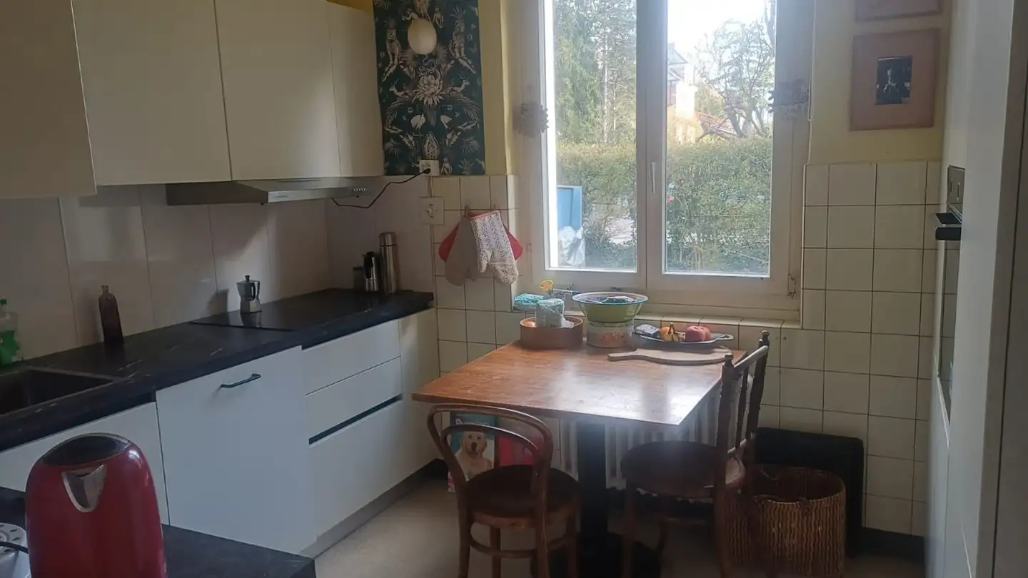 Chambre à louer - Hadlaubstrasse 87, 8006 Zürich - Photo 3