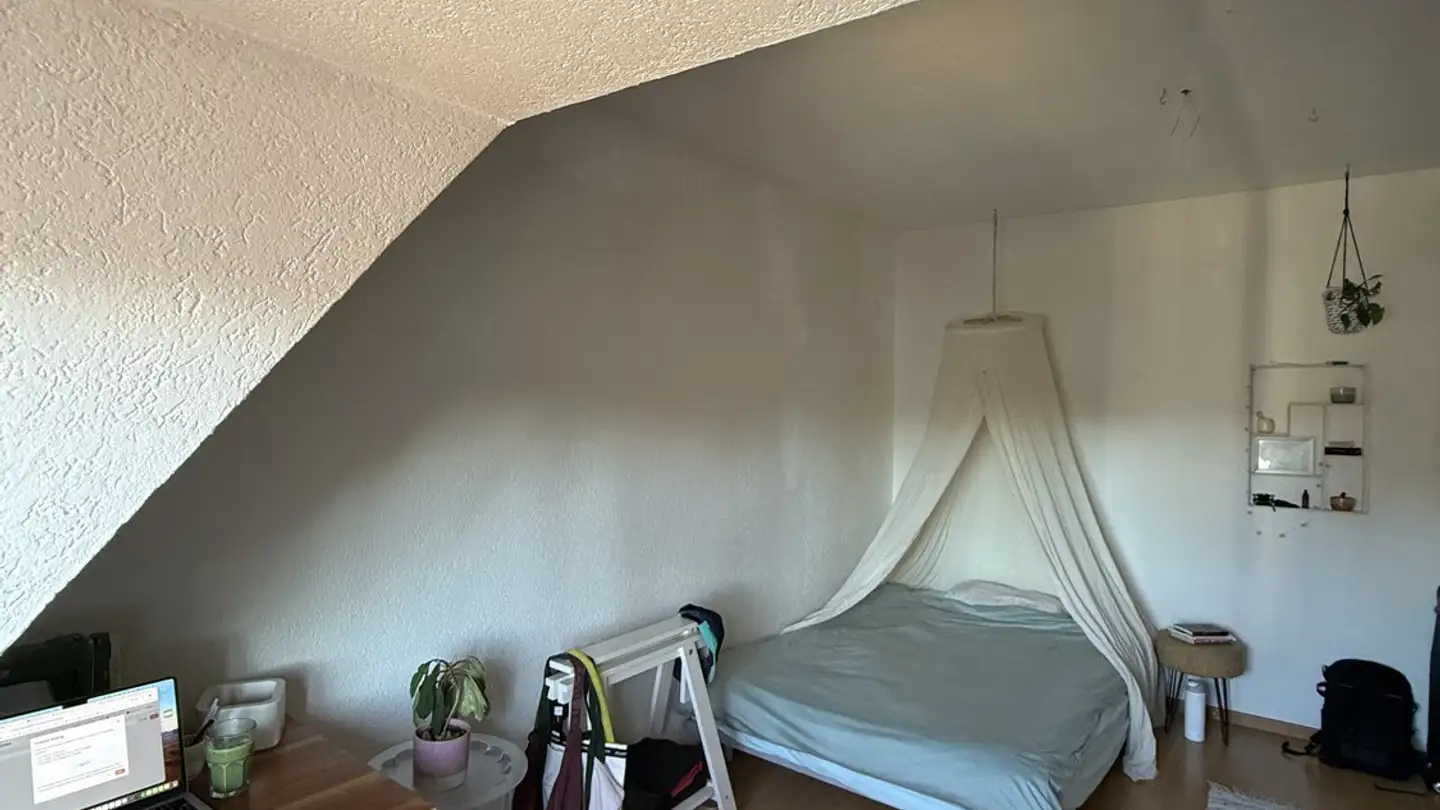 Stanza singola in affitto - Manessestrasse 200, 8045 Zürich