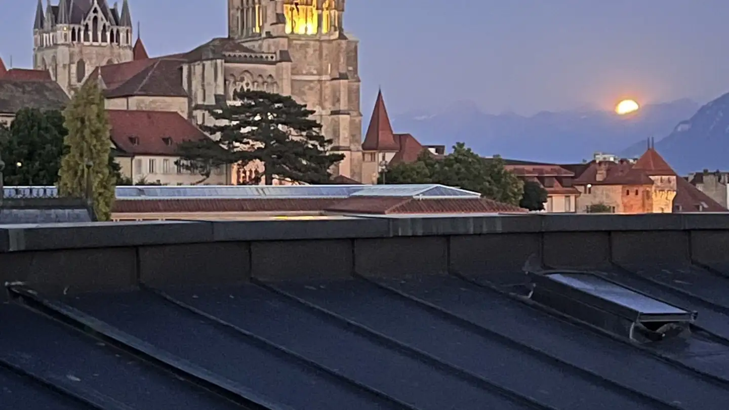 Single room for rent - Rue Du Valentin 21, 1004 Lausanne - Photo 2