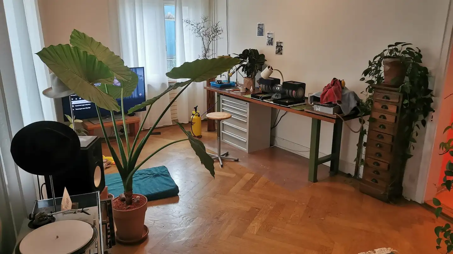 Stanza singola in affitto - Tösstalstrasse 83, 8400 Winterthur - Foto 3