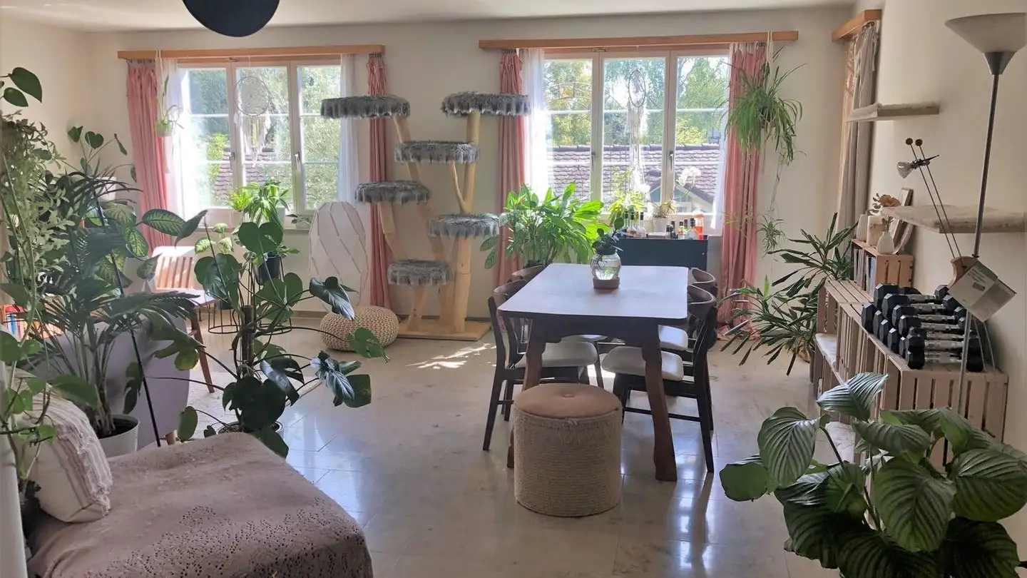 Studio for rent - Oerlingerweg 3, 8460 Marthalen - Photo 4