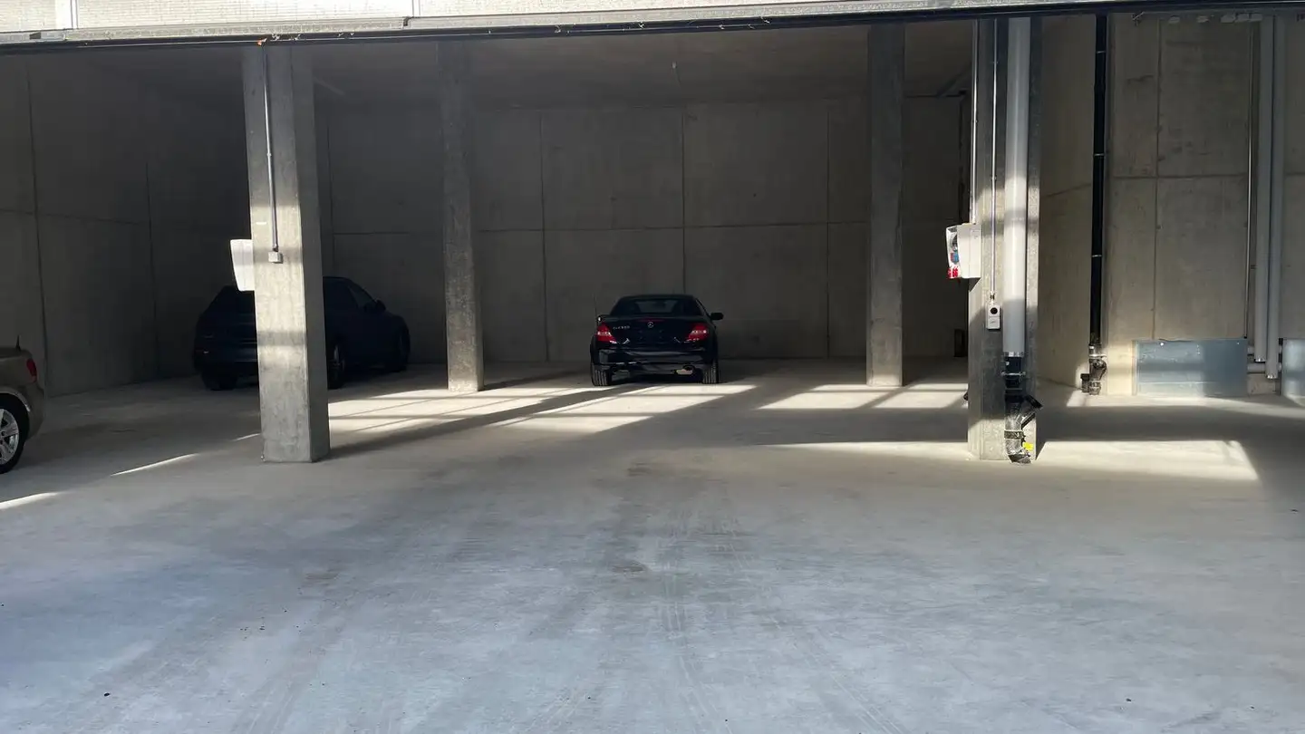 Proprietà industriale in affitto - Grossmattstrasse 23, 8964 Rudolfstetten - Foto 2