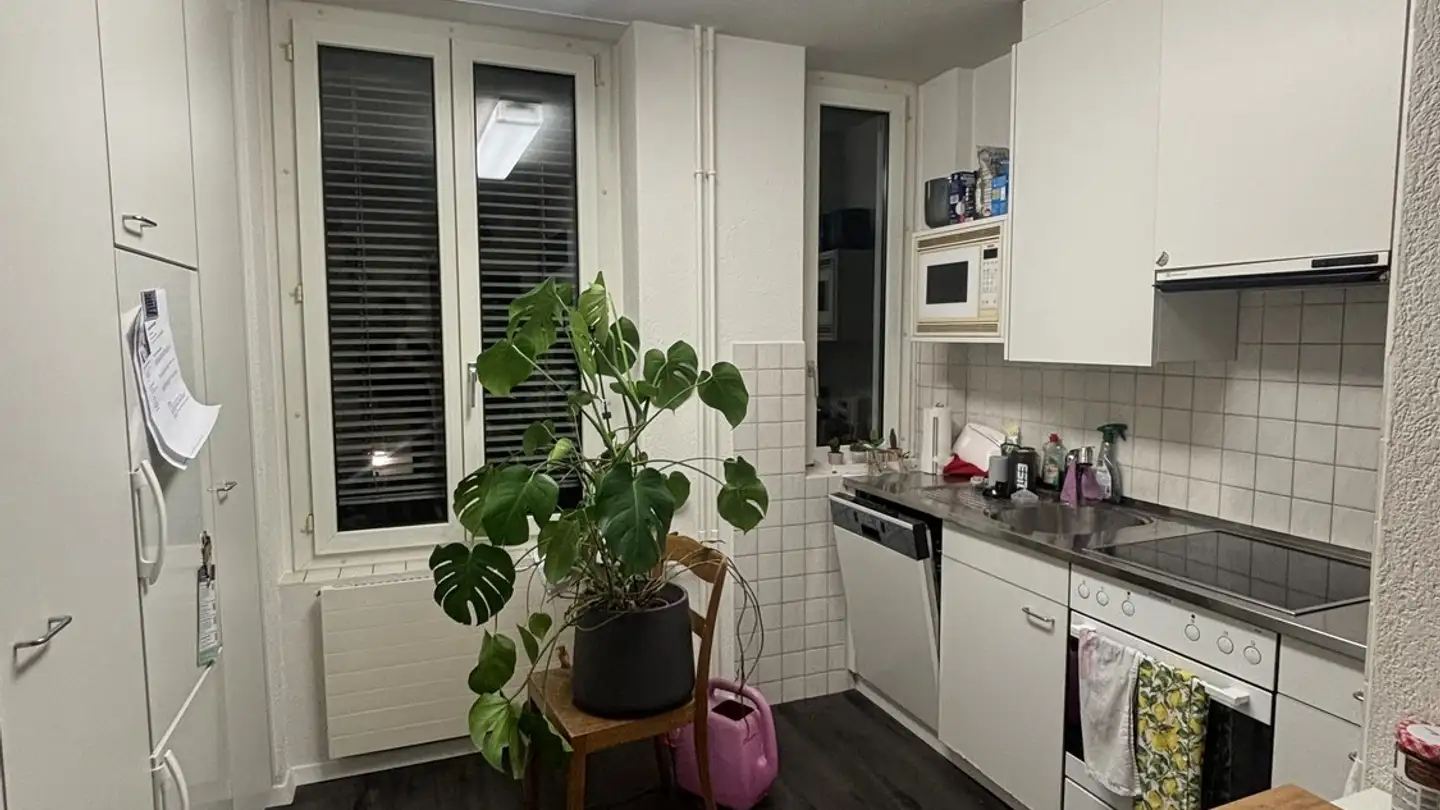 Single room for rent - Badenerstrasse 358, 8004 Zürich - Photo 4