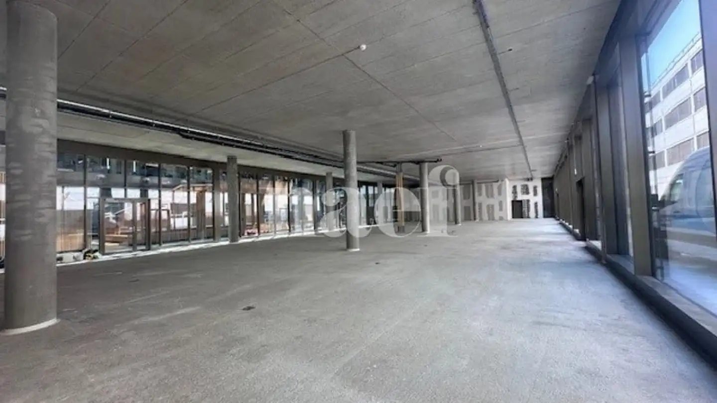 Commercial à louer - Chemin Du Champ-Des-Filles 4, 1228 Plan-les-Ouates - Photo 3