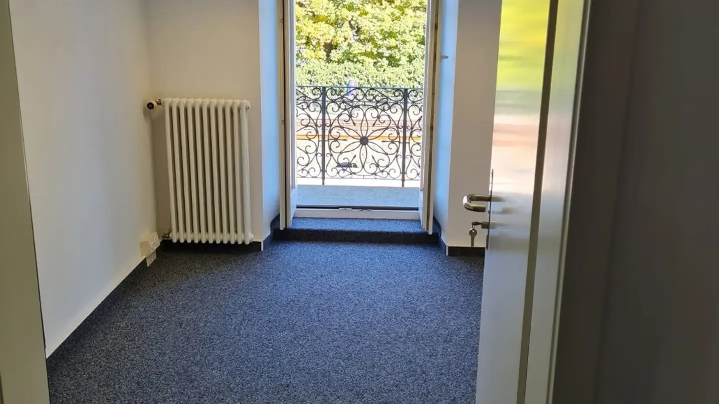 Commercial à louer - 8820 Wädenswil