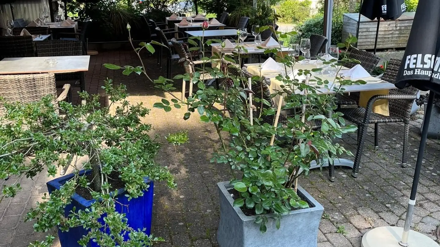 Ristorante in affitto - Möösliweg 5, 3037 Herrenschwanden - Foto 4