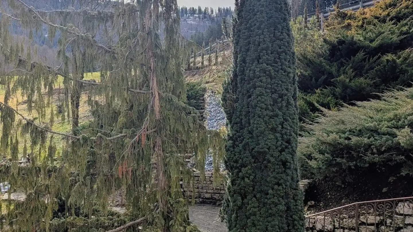 Apartment for rent - 2716 Sornetan - Photo 3