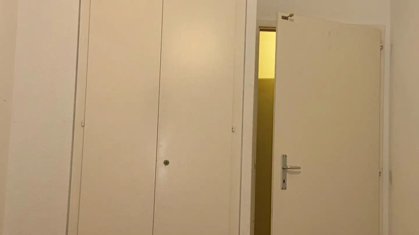 Appartamento in affitto - Chemin Du Nant-De-Crève-Coeur 10, 1290 Versoix - Foto 3