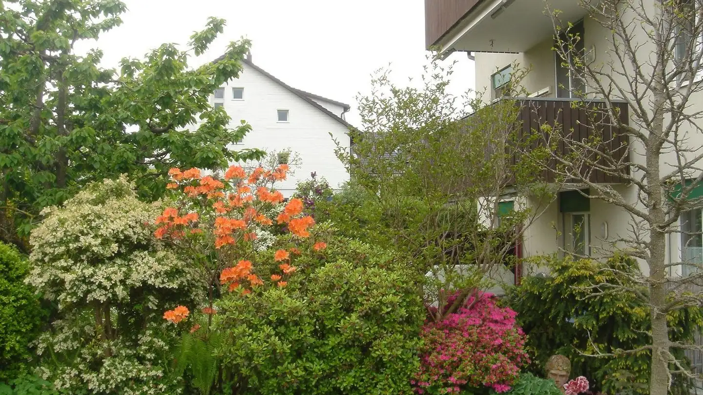 Appartamento in affitto - Rüterspüelstrasse 19, 8173 Neerach