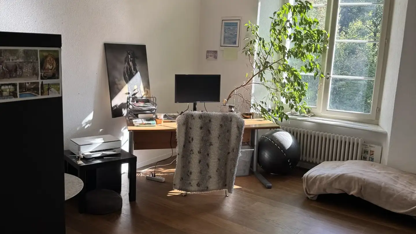 Appartamento ammobiliato in affitto - Burgrain 37, 8706 Meilen