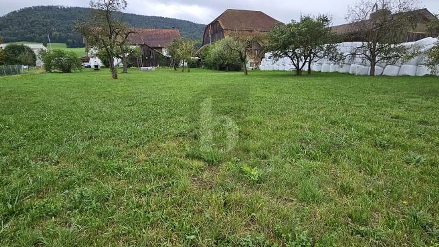 Terrain constructible à vendre - 2824 Vicques - Photo 3