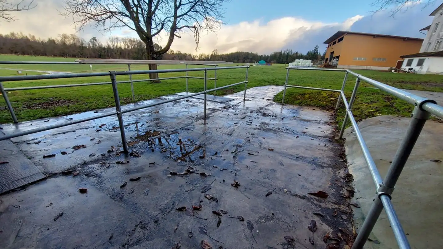 Ferme à louer - Bernhausen 9, 9216 Heldswil - Photo 2