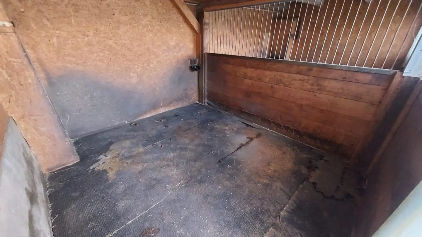 Ferme à louer - Bernhausen 9, 9216 Heldswil - Photo 4