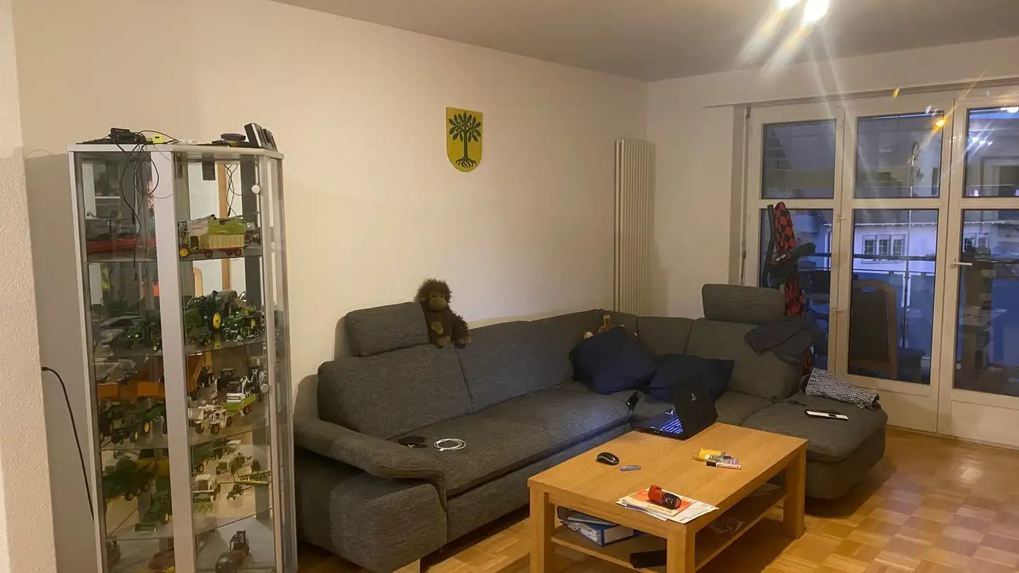 Wohnung mieten - Im Zil 7, 8460 Marthalen - Foto 4
